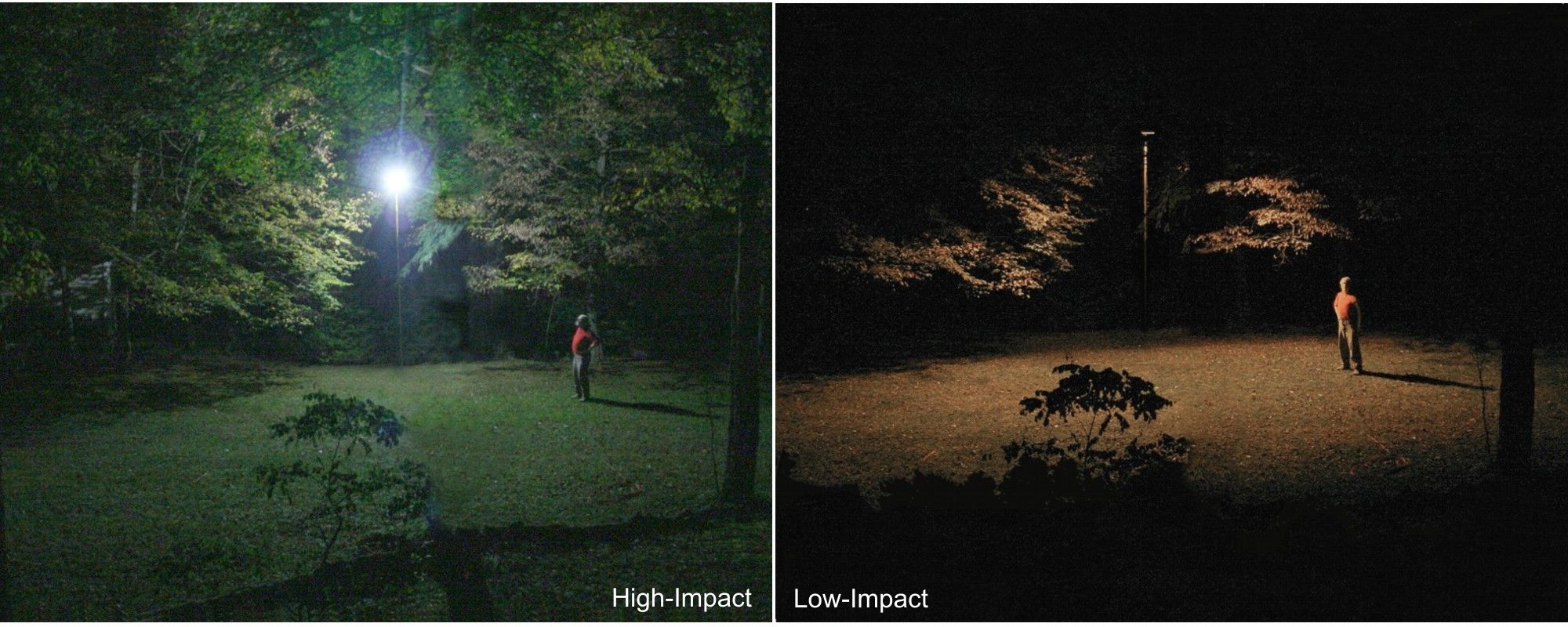 CSbG / CFL Comparison